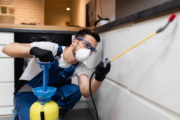 Pest Control for Restaurants in Kutztown University, PA