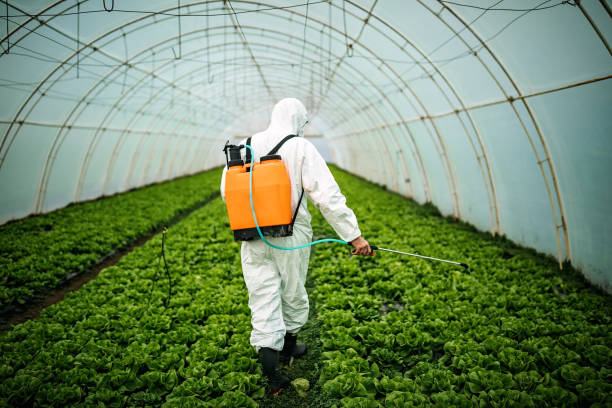 Best Residential Pest Control  in Kutztown University, PA