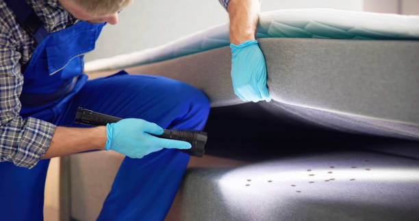 Best Pest Prevention Services  in Kutztown University, PA